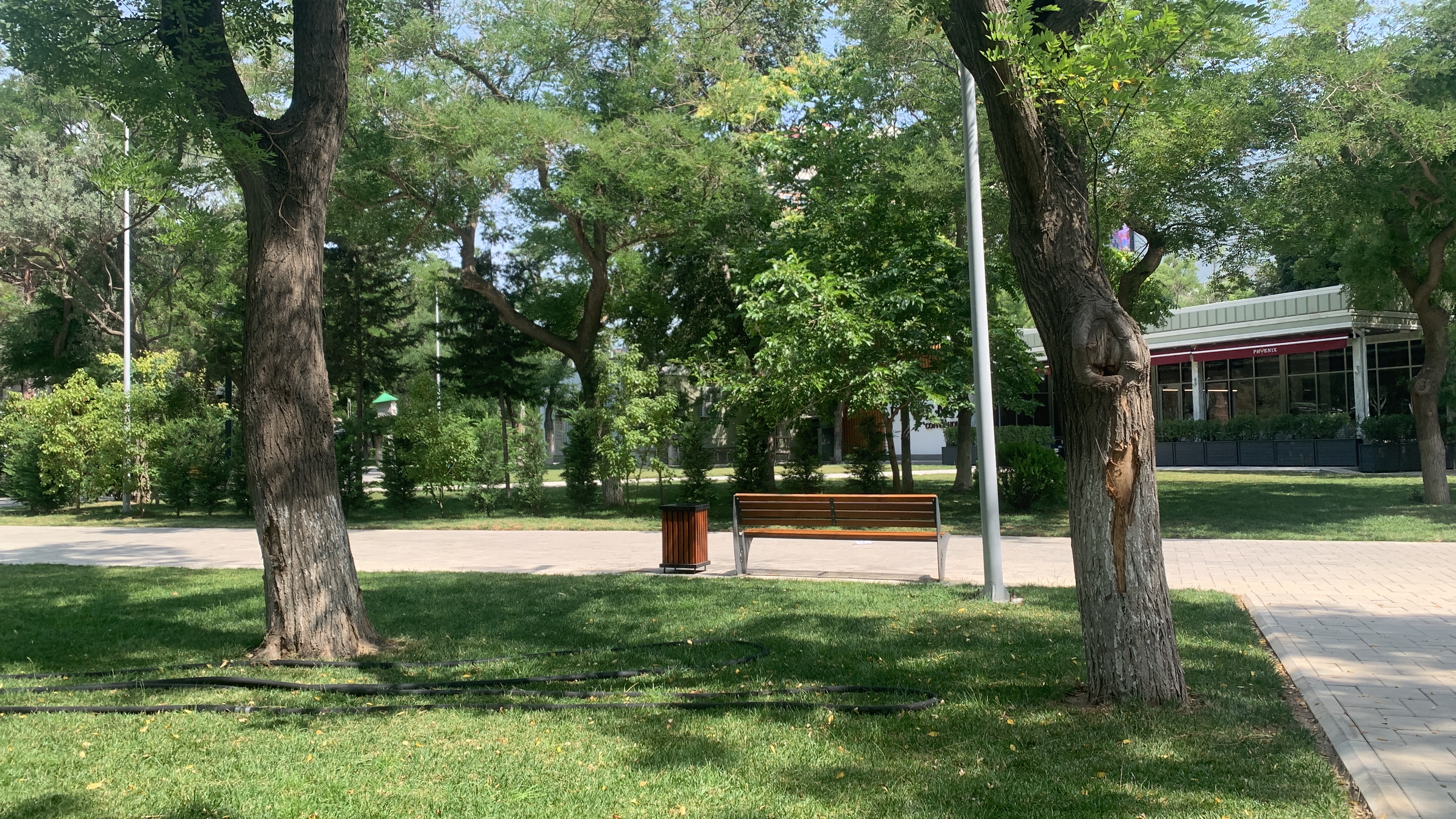 Xeber 7